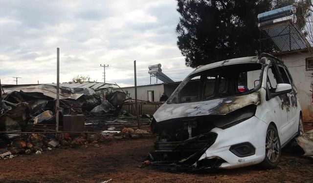 Antalya'da yangın faciası sera işçisi anne ve 5 çocuğu hayatını kaybetti