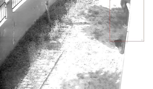 Apartman dairesine tırmanıp girdi, dizüstü bilgisayar çaldı