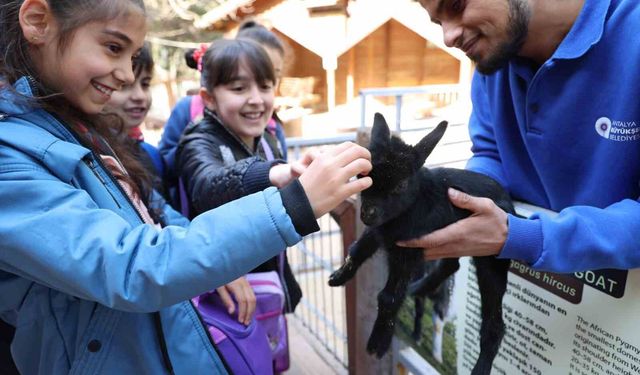 Çocuklar hayvanları ve yaban hayatını tanıma fırsatı buldu