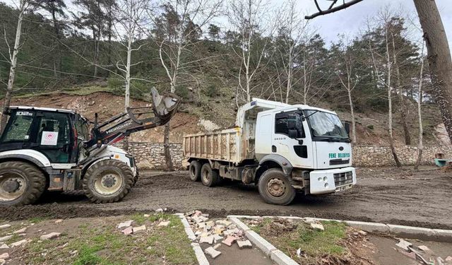 Feke'de yaşam alanlarına bahar düzenlemesi
