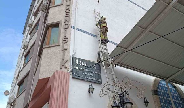 İskenderun'da ipe dolanan kuş kurtarıldı