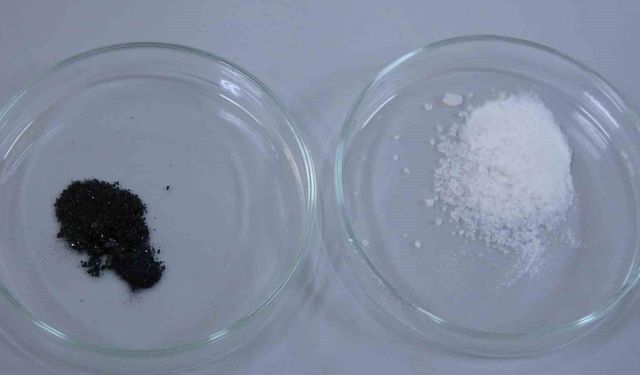 Isparta'da endemik bitkiden doğaya zarar vermeden kanserle mücadeleye umut olacak üretim modeli geliştiriliyor