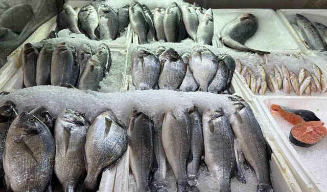 Kahramanmaraş'ta su ürünleri av yasağı başladı