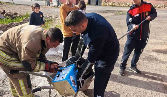 Mahsur kalan köpeklerin yardımına itfaiye yetişti