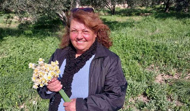 Mersin'de baharı yaşatan nergis çiçekleri gelir kaynağı oldu