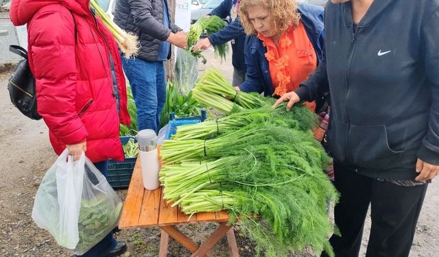 Ot festivali şiddetli yağışla yarıda kaldı