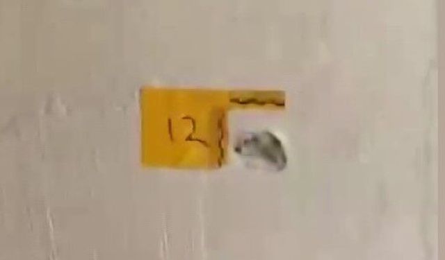 'Polisiz' diyerek eve giren şüpheliler anne ile oğlunu vurdu