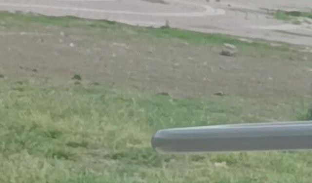 Adana'da tüfekli sopalı kavga kamerada