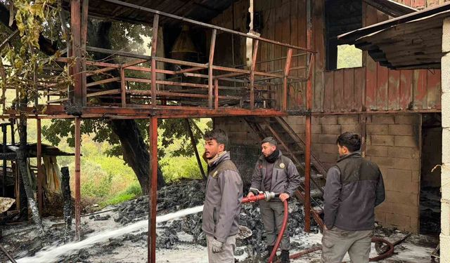 Alanya'da müstakil ev yangını korkuttu