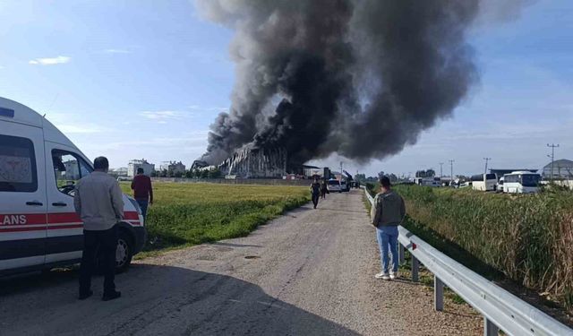 Antalya'da patates üretim tesisinde yangın