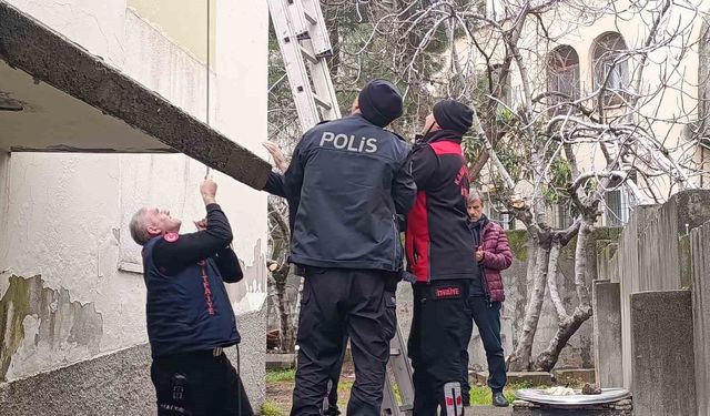 Çatı katında mahsur kalan kediyi polis ve itfaiye kurtardı