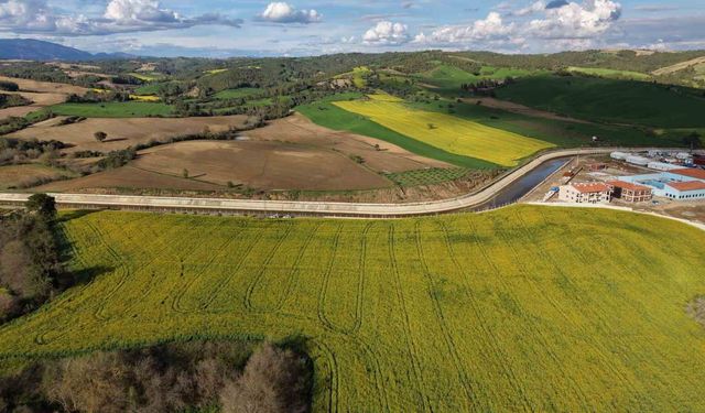 Devlet destekli kanola üretimi Adanalı çiftçinin yüzünü güldürdü
