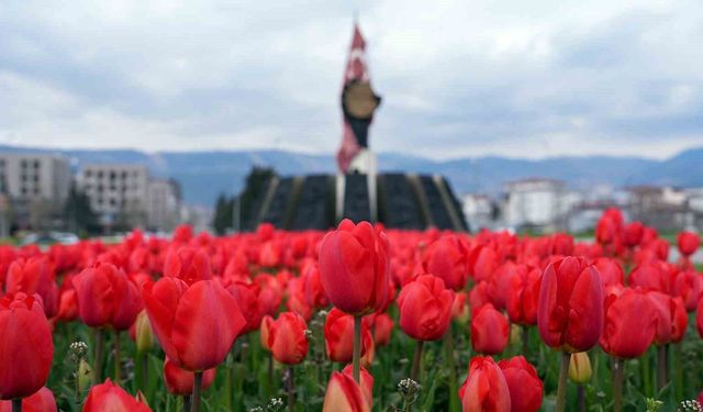 Kahramanmaraş'ta kavşaklarda görsel şölen