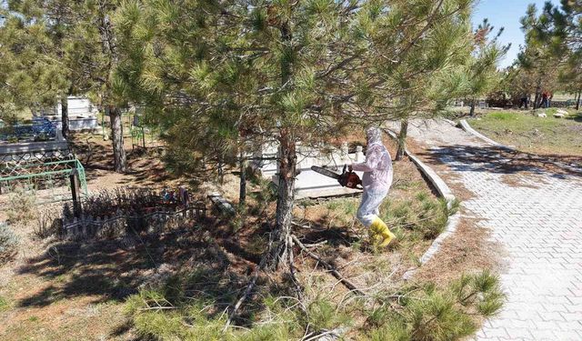 Kahramanmaraş'ta mezarlıklarda yenileme başladı
