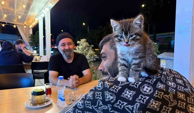 Madde bağımlılığından yavru kedi sayesinde kurtuldu