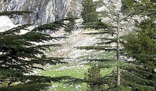 Osmaniye'de kayalıklardan düşen adam hayatını kaybetti