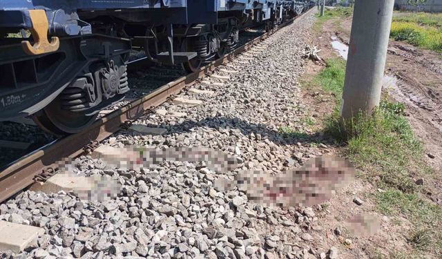 Osmaniye'de yük treninin çarptığı kişi yaralandı