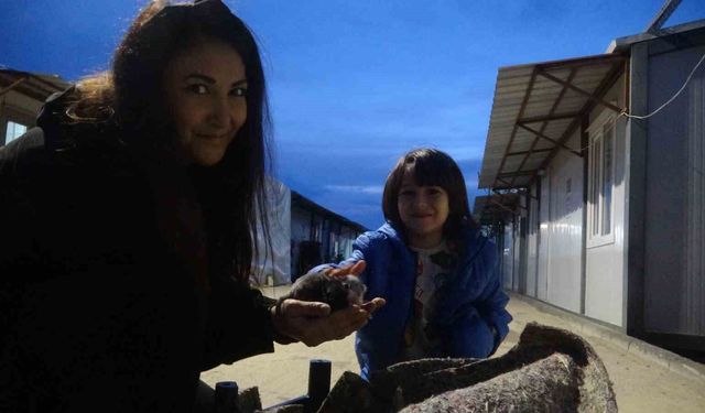 Su kanalında doğum yapan kedi ve 3 yavrusunun yeni yuvası depremzede ailenin konteyneri oldu