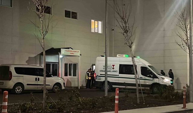 Tartıştığını eşini başından silahla vurup öldürdü