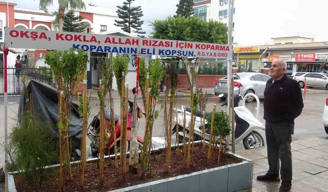 Annesinin çok sevdiği çiçeği, iş yerinin önünde mezarı andıran alanda 40 yıldır yaşatıyor