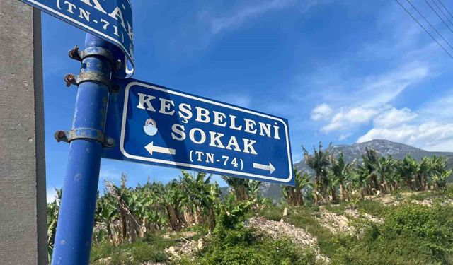 Belediye çalışanlarından örnek davranış: Çöp konteynerinde ölüme terk edilen kaplumbağayı kurtardılar