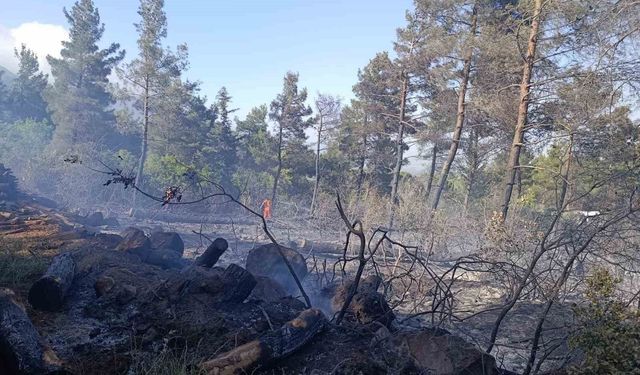 Hatay'da ormanı yangını çıktı