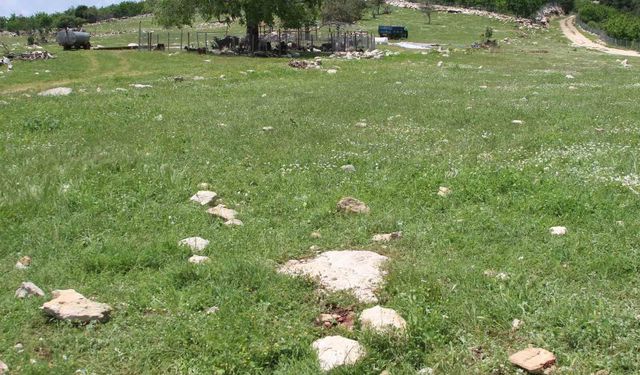 Katilin intihar ettiği yer görüntülendi: 'Fail kaçamayacağını anlayınca intihar etmiş'