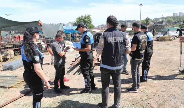 Kurban pazarlarında sahte para ve dolandırıcılığa karşı uyarı