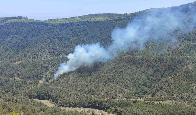 Mersin'de orman yangını: Ekiplerin müdahalesiyle kontrol altına alındı
