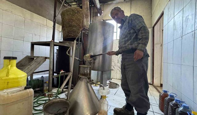 Toroslar'da yetişen 31 farklı bitkinin yağını çıkartıp ülkenin dört bir yanına gönderiyor