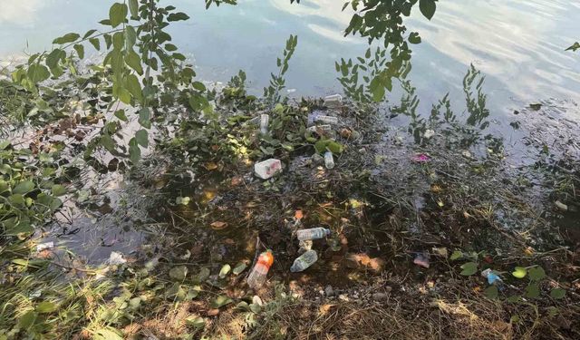 Adana'da Seyhan Nehri ve çevresindeki kirliliğe vatandaştan tepki