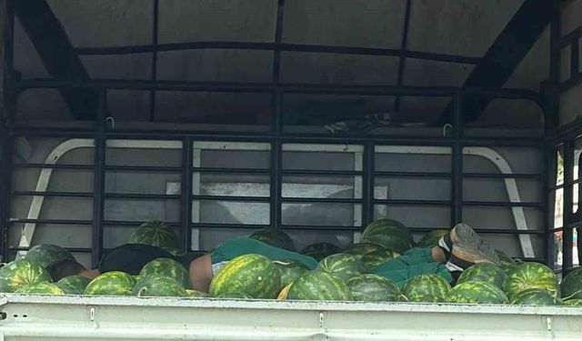 Karpuzlar arasında uyku gülümsetti