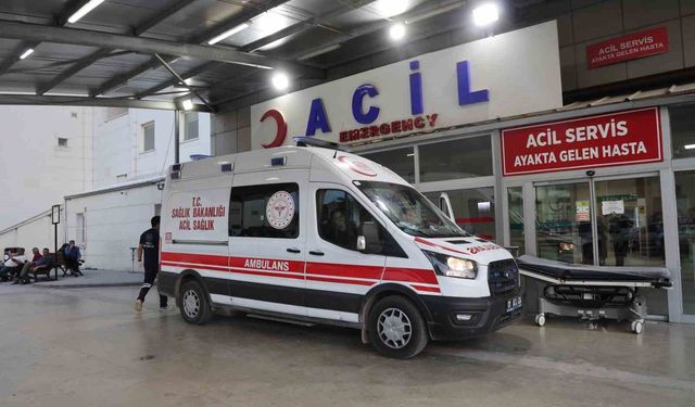 Kız alıp verme husumeti kanlı bitti: Baba ve oğlu öldürüldü