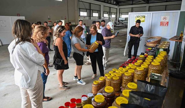 Mersin'de coğrafi işaretler için güç birliği