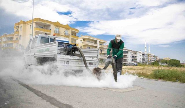 Mersin'de sinek ve haşerelere karşı yoğun mesai