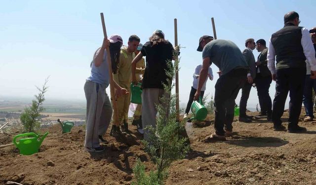 Orman yangınından zarar gören alana fidan ekildi
