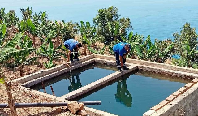 Antalya'da vektörel mücadele kültürel, fiziksel, biyolojik ve kimyasal olarak gerçekleştiriliyor