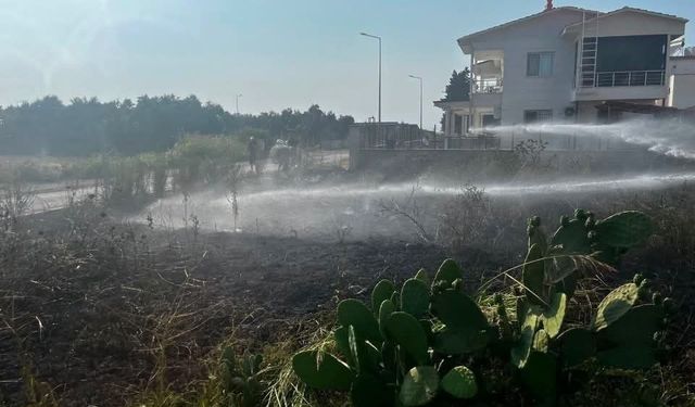 Arsuz'da otluk alan yangını