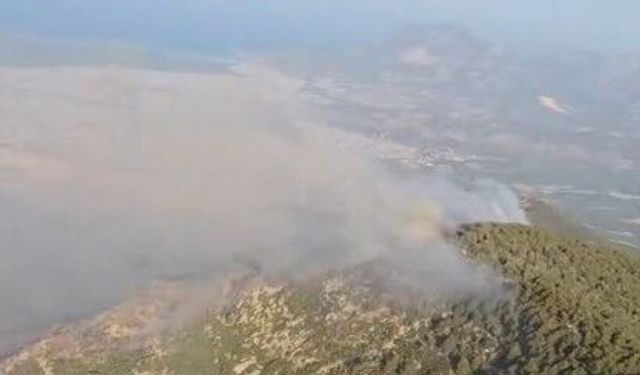 Kaş'taki orman yangınının enerjisi düşürüldü