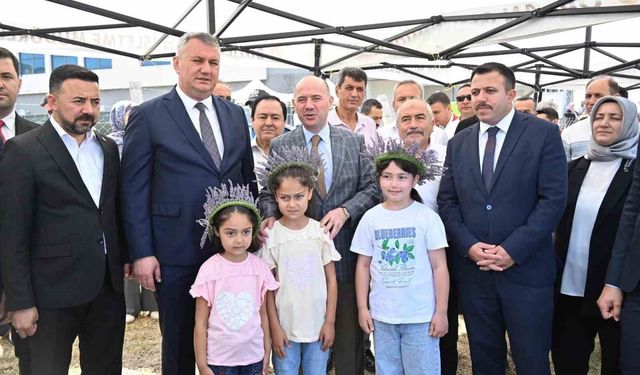 Lavanta hasadının bereketi Uygar'a umut olacak