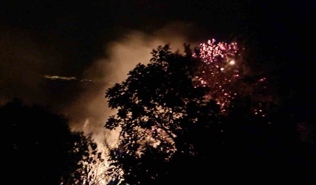 Alanya'da gece saatlerinde çıkan orman yangını kontrol altına alındı
