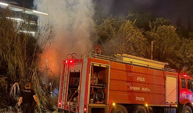 Alanya'da sazlık alanda yangın