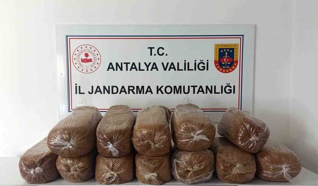 Antalya'da üç ilçede kaçak tütün operasyonu: 785 kilogram tütün ele geçirildi