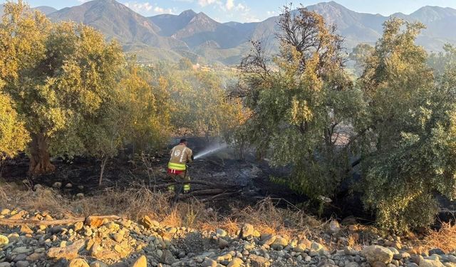 Arsuz'da bahçe yangını geniş alana sirayet etmeden söndürüldü