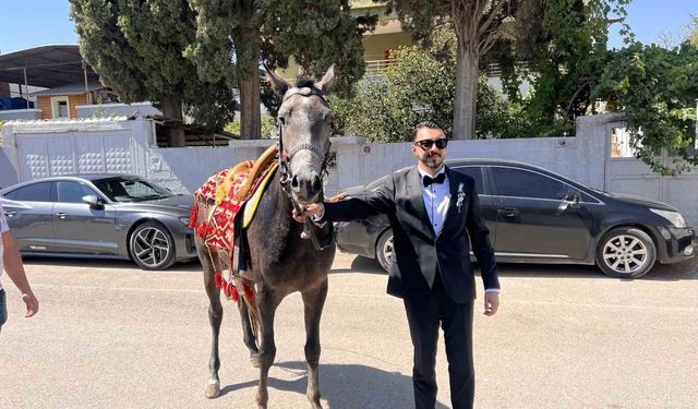 Atla gelin almaya giden damadın planını trafik bozdu