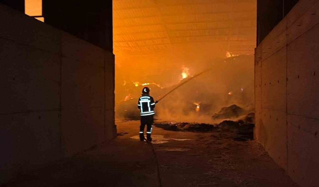 Burdur'da çiftlik yangını