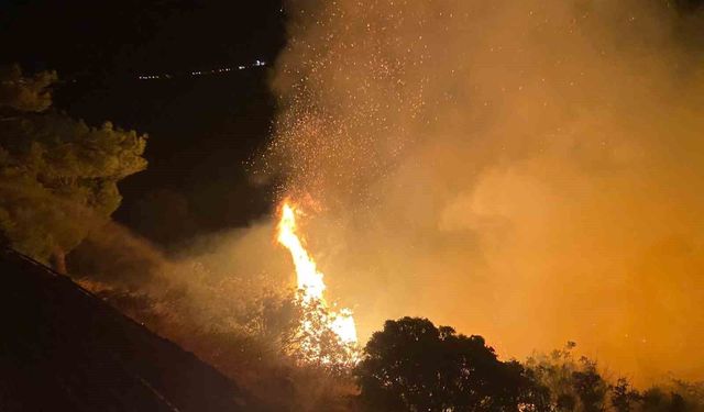 Gazipaşa'da orman ve makilik alandaki yangın söndürüldü