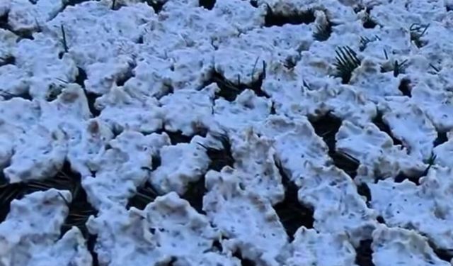 Kahramanmaraş'ta tarhana mesaisi