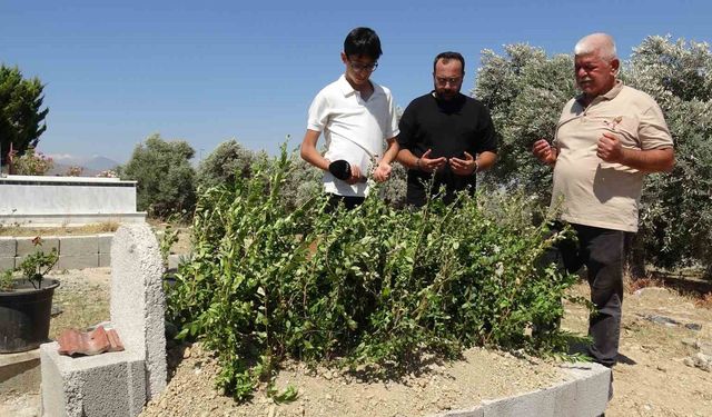 Otobüs kazasında kendisi yaralanan, 36 yıllık hayat arkadaşı vefat eden adamın uykuya dalan şoförü defalarca uyardığı ortaya çıktı