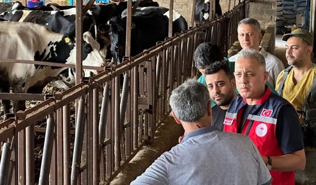 Altınözü'nde hastalıktan ari işletme sayısının artırılması için çalışma yürütülüyor